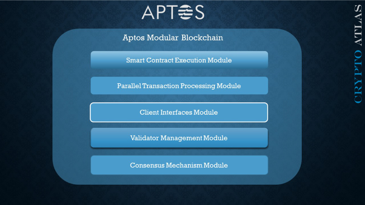 Aptos Tech: Modular Chain